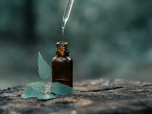 Ditch the Chemicals, Embrace the Earth: Natural Bug Repellent with Essential Oils